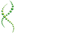 Logo Chiropractic Touch
